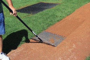 Designed for grooming small areas like the mound and baselines