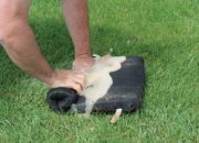 Squeeze out puddle water in a grassy off-field area