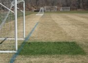 GrowthCover-Greenjacket-goalmouth_270-694-130