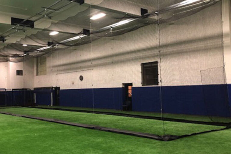 Motorized batting cage